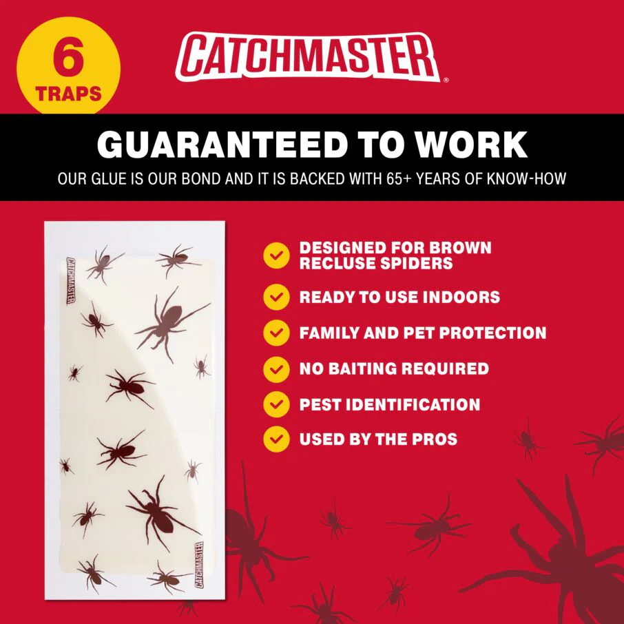 Brown Recluse Spider Giant Glue Board Traps - Image 3