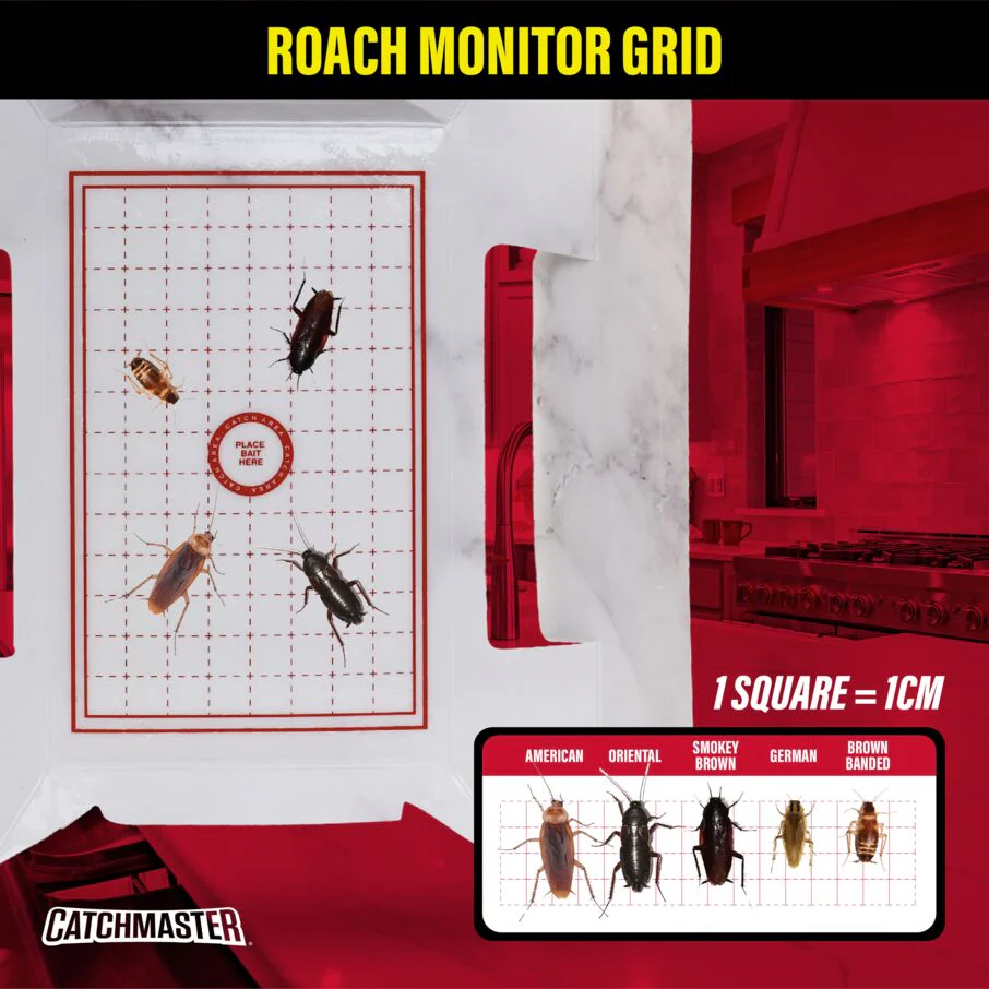 Catchmaster Cockroach Trap with Powerful Food-Based Bait – Glue Traps (10-Pk) - Image 6
