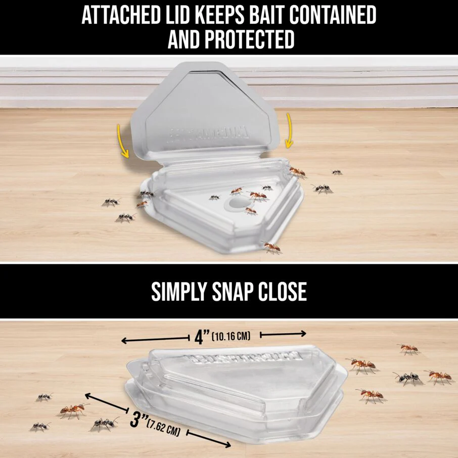DEFIANT Reusable Heavy Duty Ant Traps Indoor & Outdoor Refill - 8 Pack - Image 3