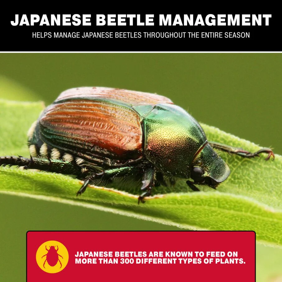 Japanese Beetle Trap Bags with Dual Lure – Hanging Bug Catcher - Image 5