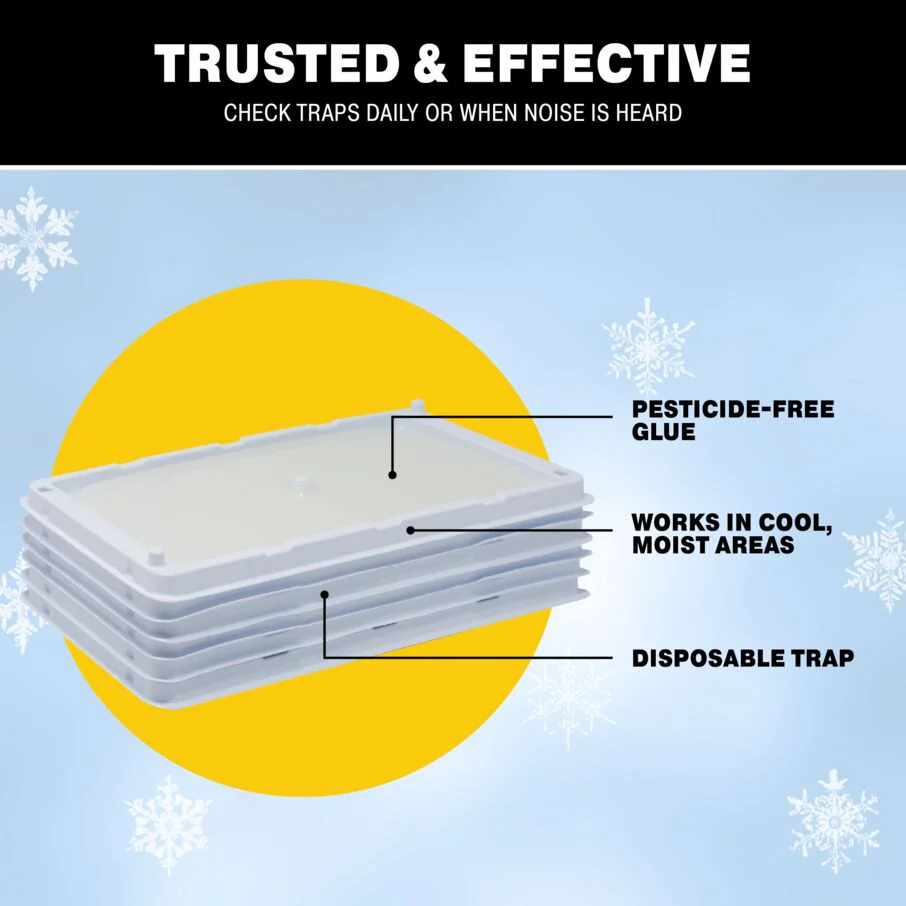 Rodent & Insect Glue Trays for Cold Weather - Image 4