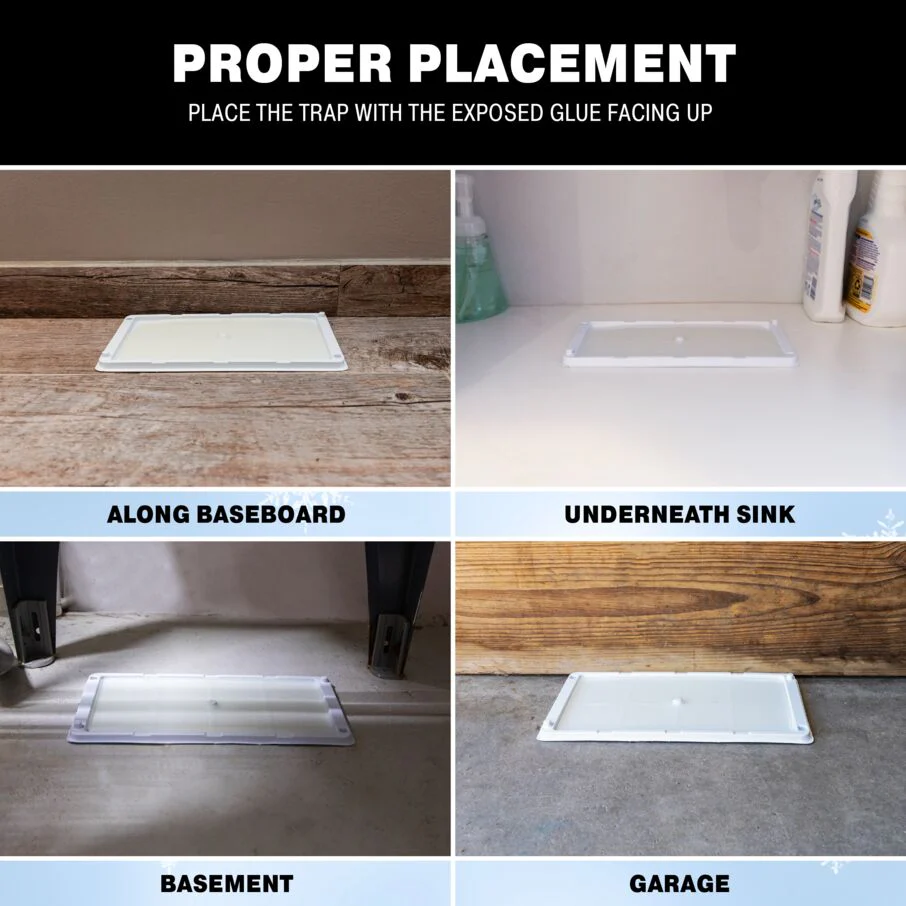 Rodent & Insect Glue Trays for Cold Weather - Image 6