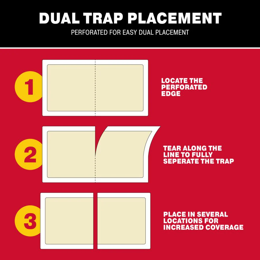 Cricket XL Giant Glue Board Traps - Image 7
