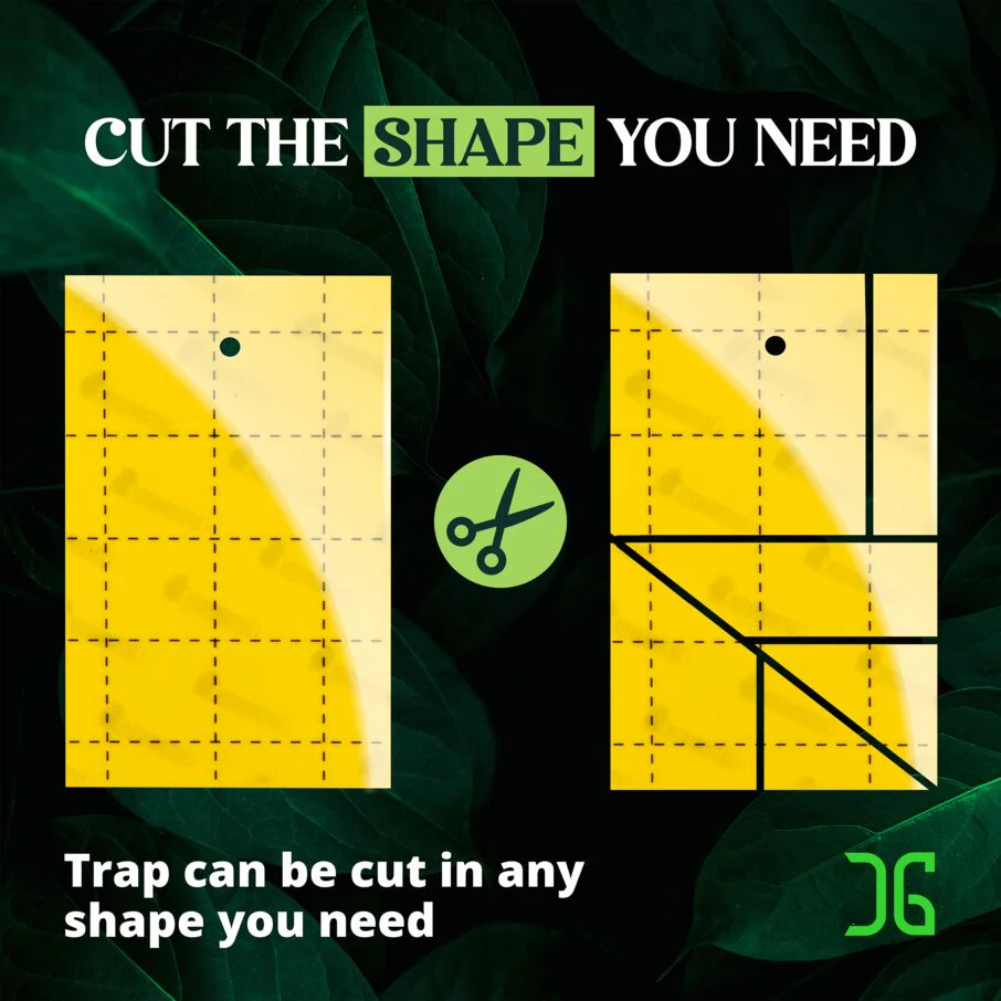 Double-Sided Yellow Sticky Card Insect Trap - Yellow - Image 8