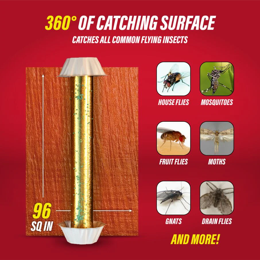 Gold Stick Fly Sticky Traps with Attractant - Image 3