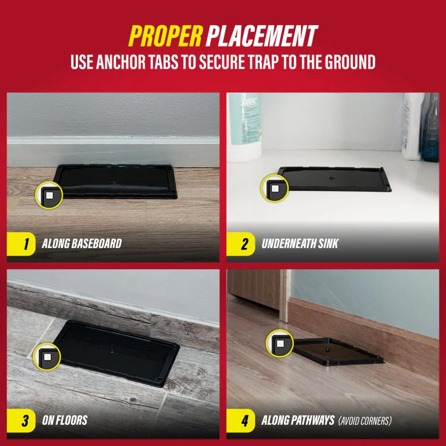 Heavy-Duty Rat, Mouse & Insect Glue Traps - Image 6