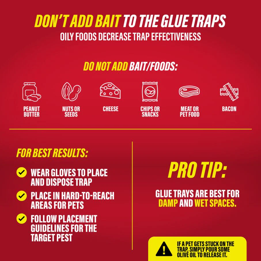Heavy-Duty Rat, Mouse & Insect Glue Traps - Image 7