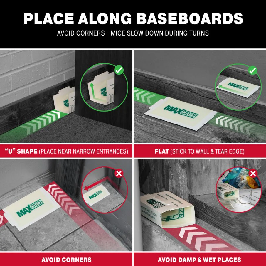 Max-Catch Unscented Glue Board Traps - Image 7