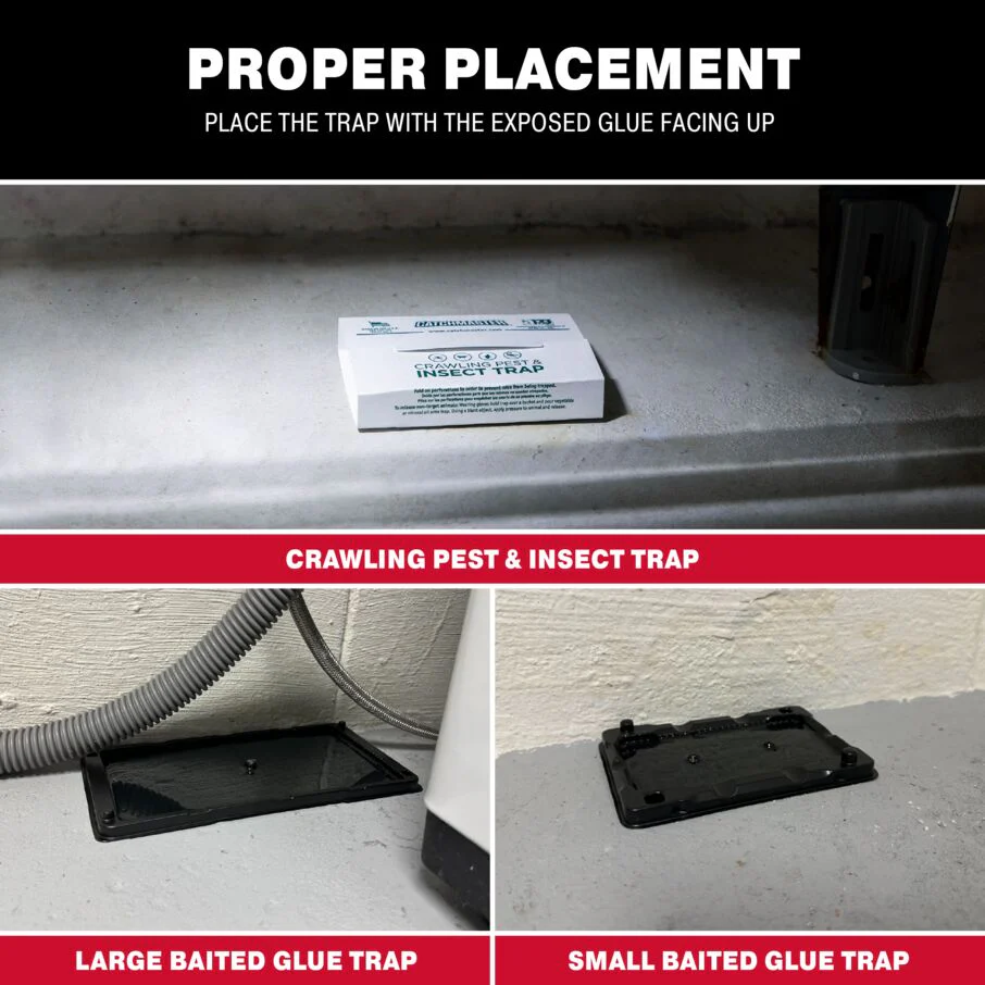 Pest Protection Kit with Glue Boards and Trays - Image 6