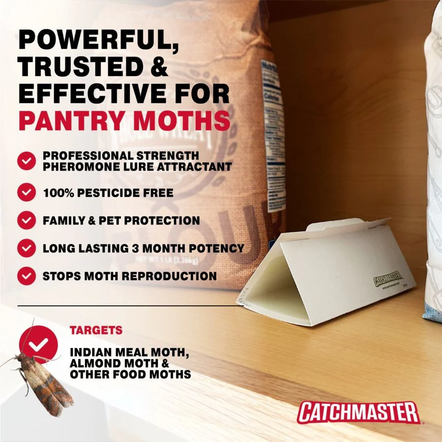 Pantry Pest & Moth Pheromone Infused Glue Board Traps - Image 6