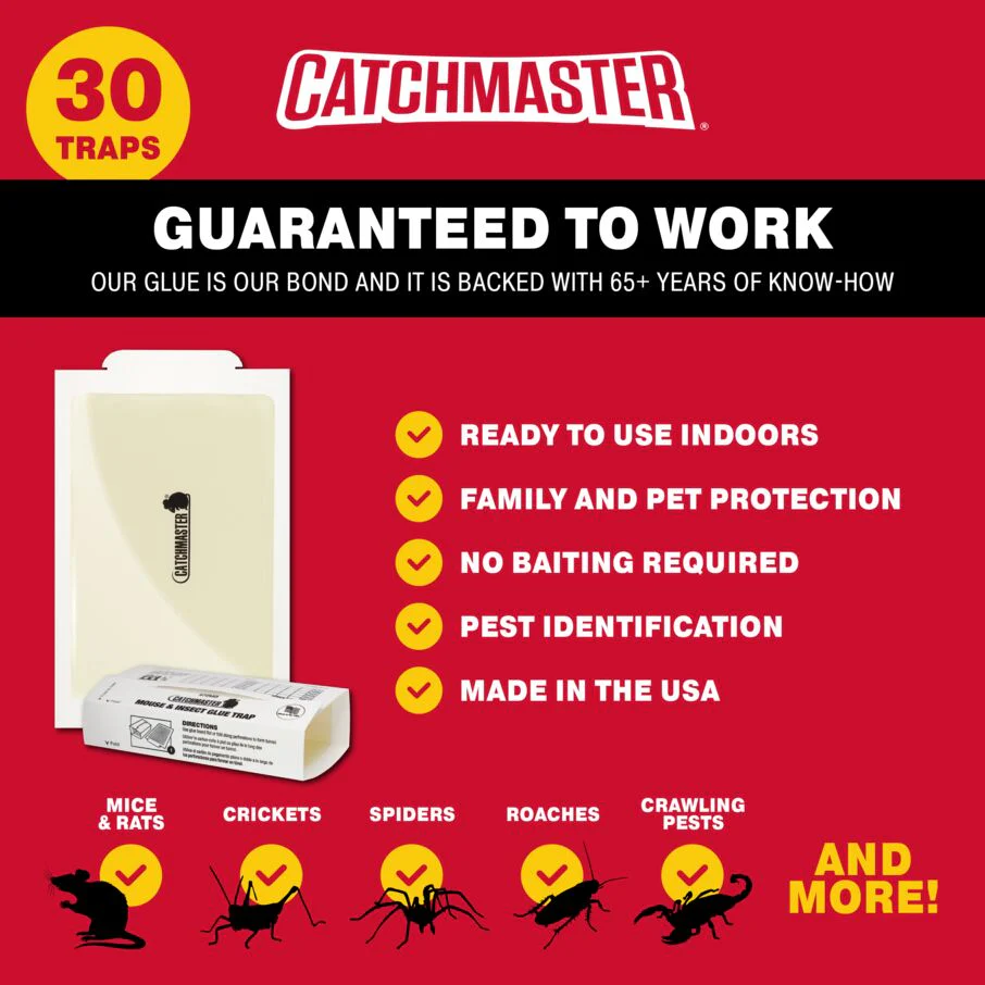 Mouse & Insect Super Glue Traps - Image 3