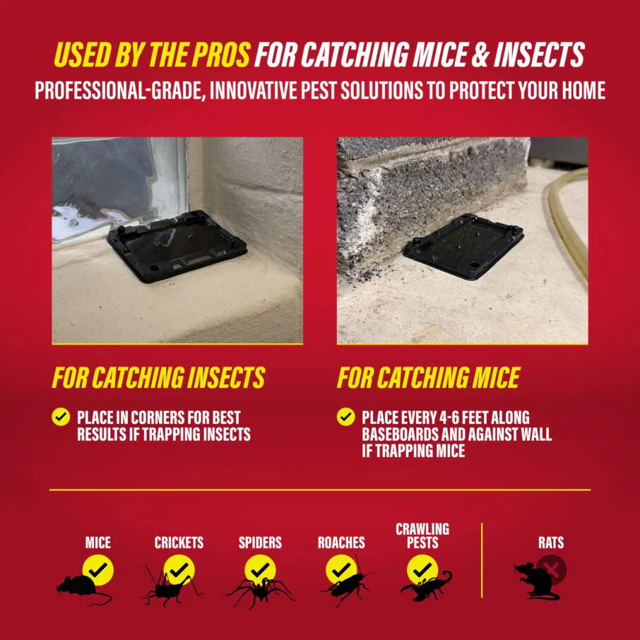 Mouse & Insect Glue Traps - Image 8