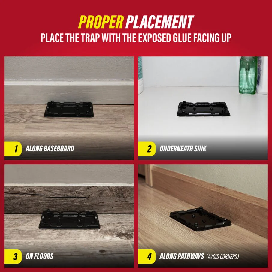 Mouse & Insect Glue Traps - Image 9