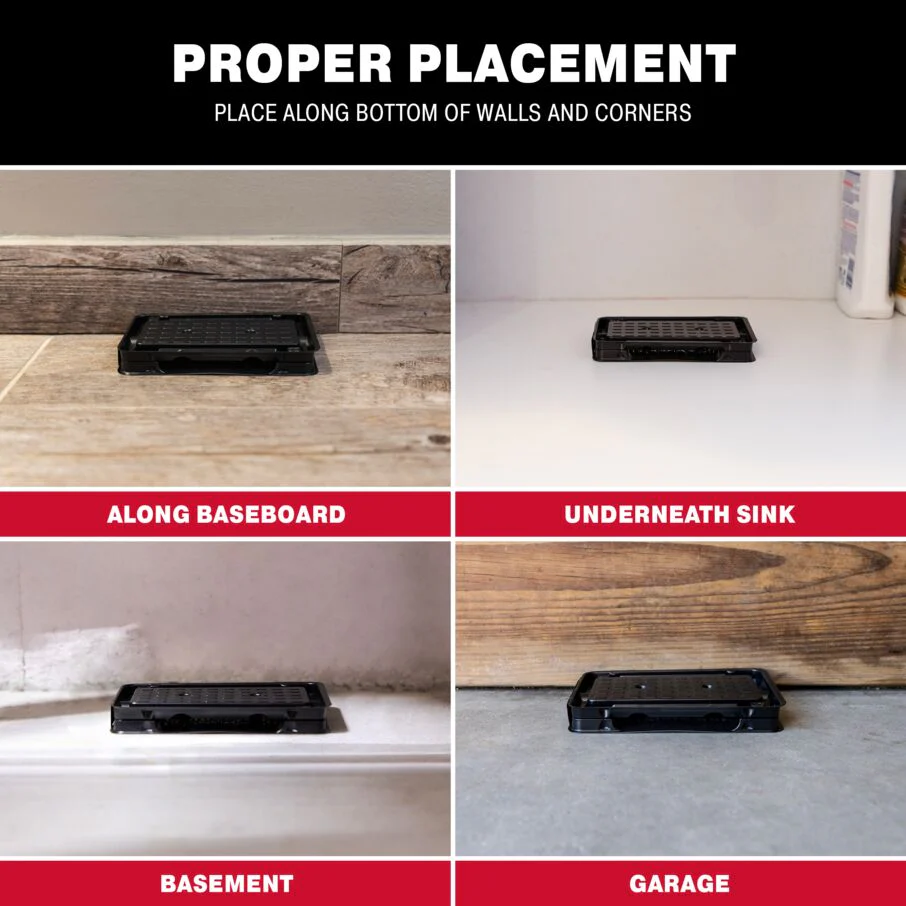 Scorpion Glue Tray Traps - Image 6