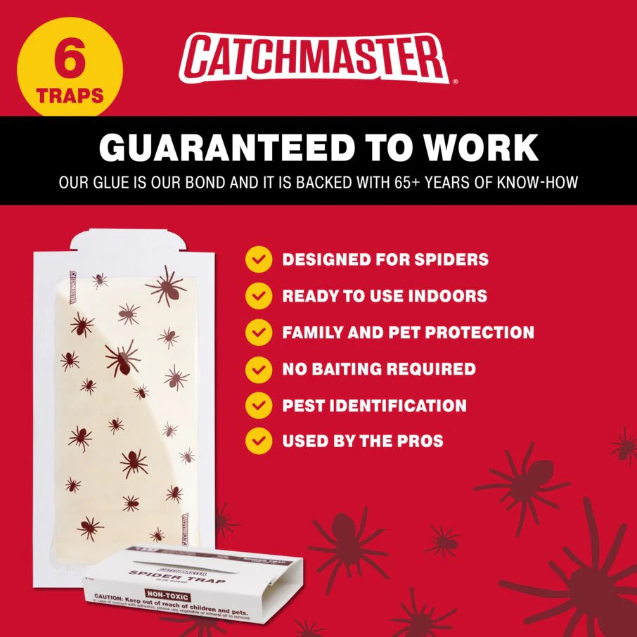 Spider Glue Board Traps - Image 3