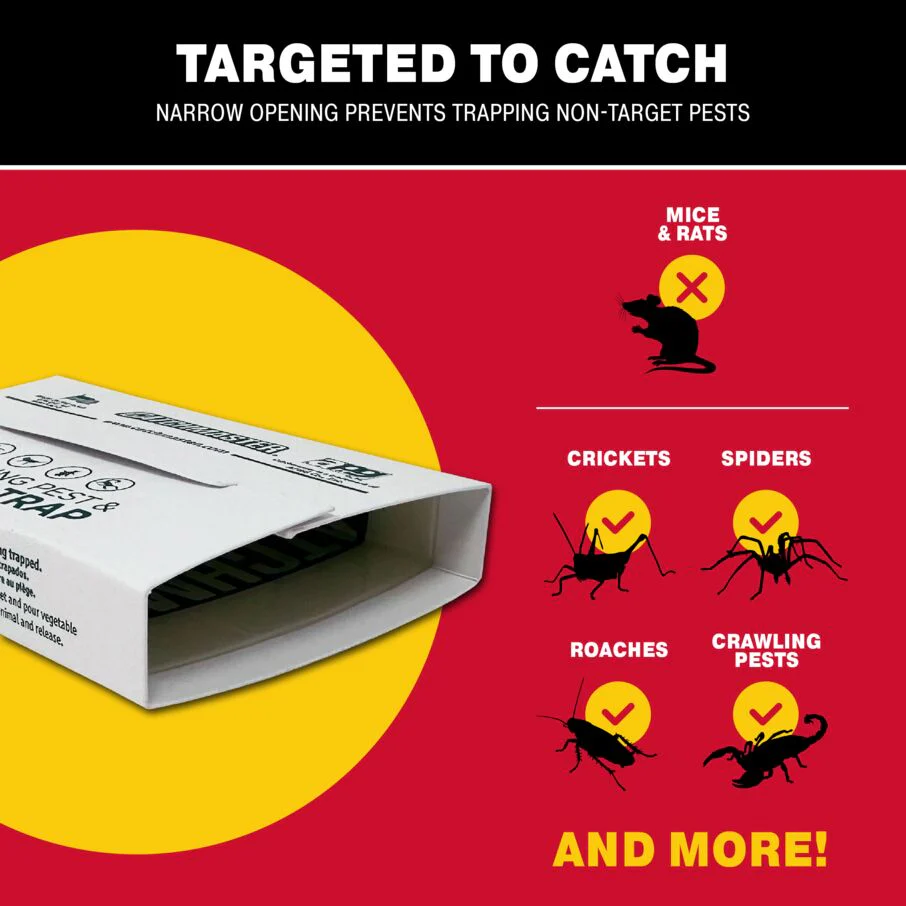 Crawling Pest, Spider & Insect Glue Board Traps - Image 5