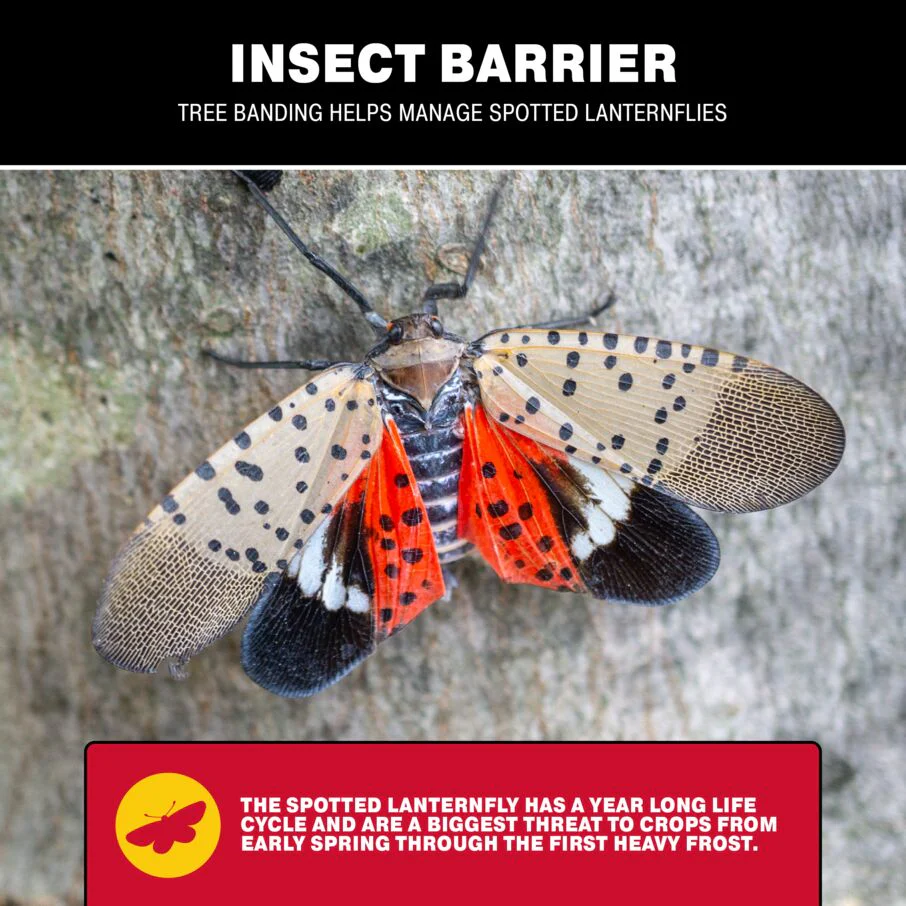 Tree Banding Insect Barrier DIY Kit - Image 4