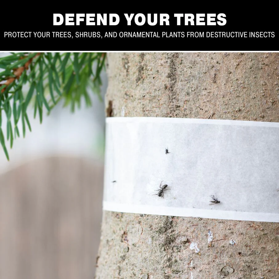 Tree Shield Insect Barrier Trap - Image 8
