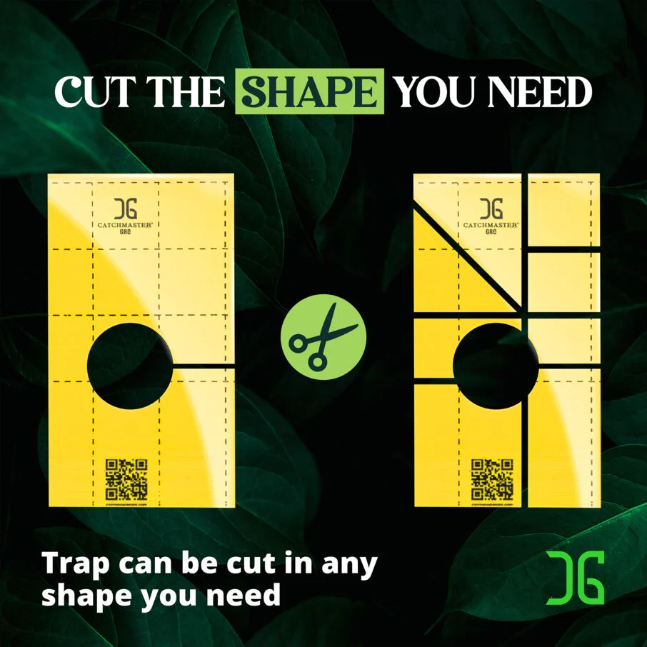 Pre-Cut Ready to Use Sticky Traps with Center Hole - Image 7